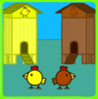 Chicken Coop